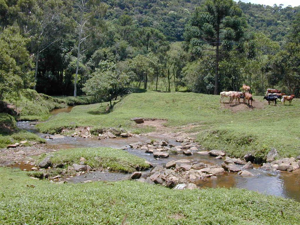 Apartamento Ferias Fazenda Usina 2 Bocaina de Minas Luaran gambar