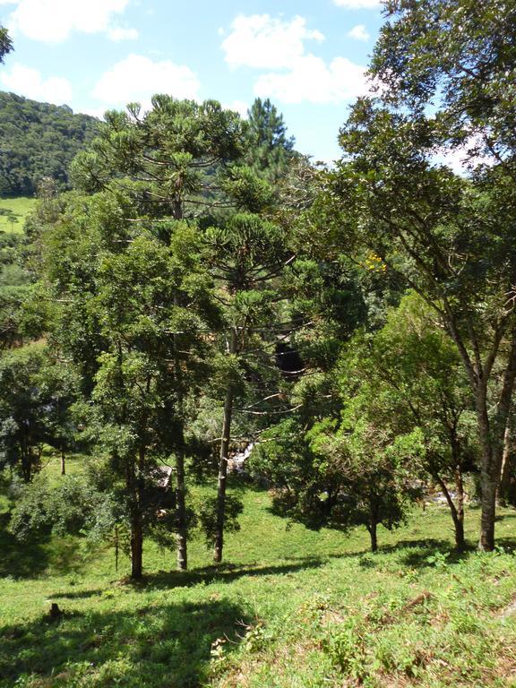 Apartamento Ferias Fazenda Usina 2 Bocaina de Minas Luaran gambar