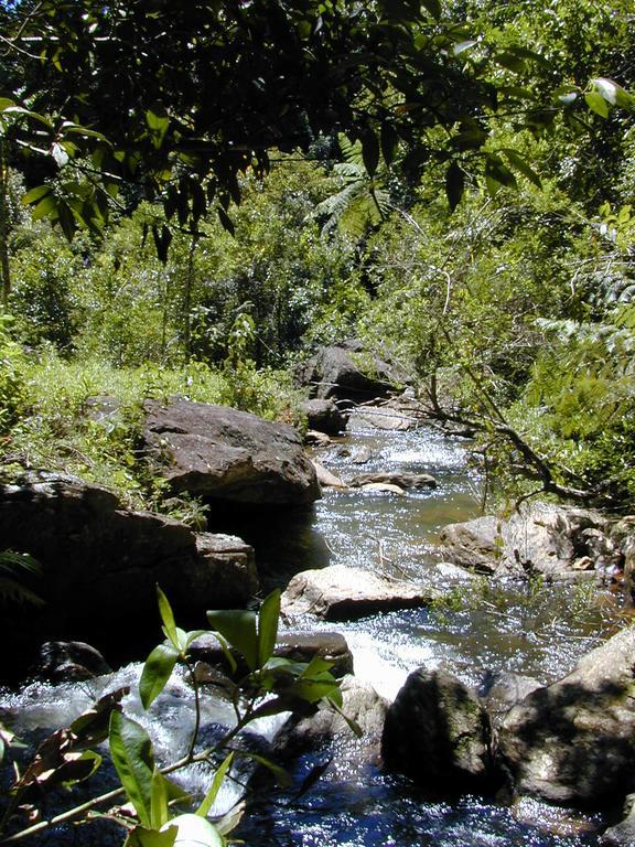 Apartamento Ferias Fazenda Usina 2 Bocaina de Minas Luaran gambar