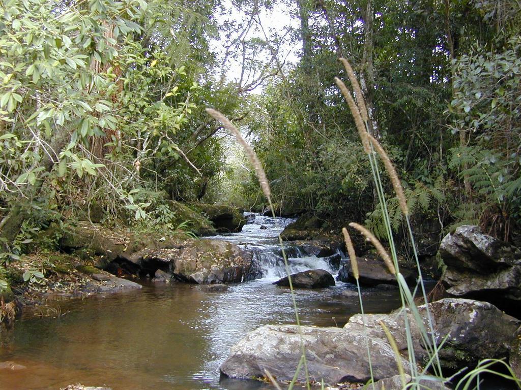 Apartamento Ferias Fazenda Usina 2 Bocaina de Minas Luaran gambar