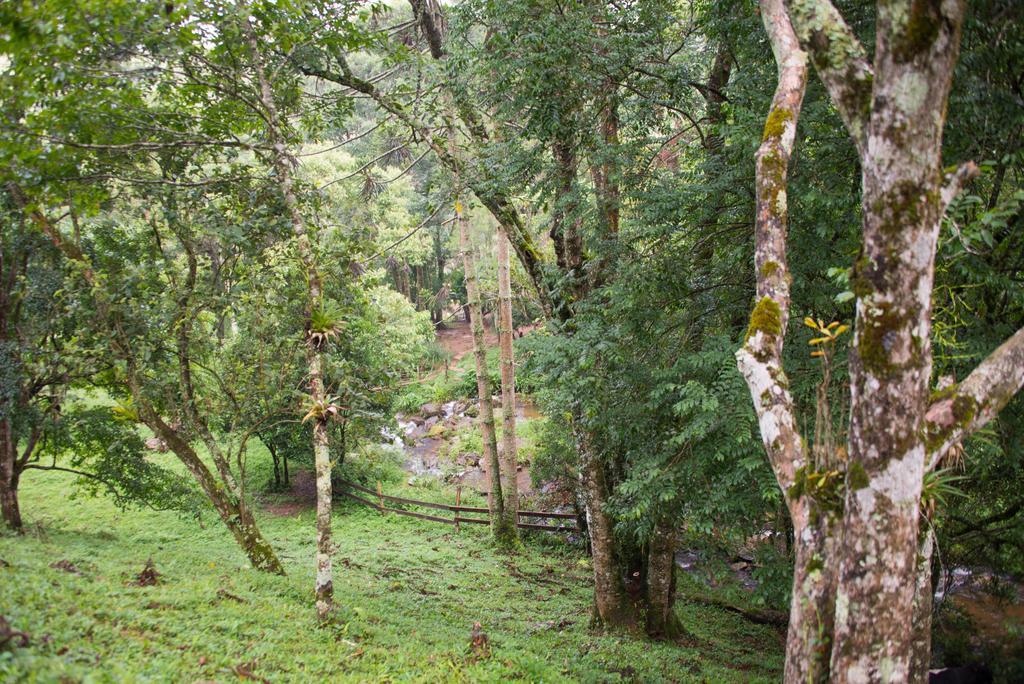 Apartamento Ferias Fazenda Usina 2 Bocaina de Minas Luaran gambar
