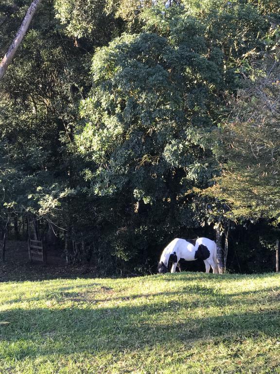 Apartamento Ferias Fazenda Usina 2 Bocaina de Minas Luaran gambar