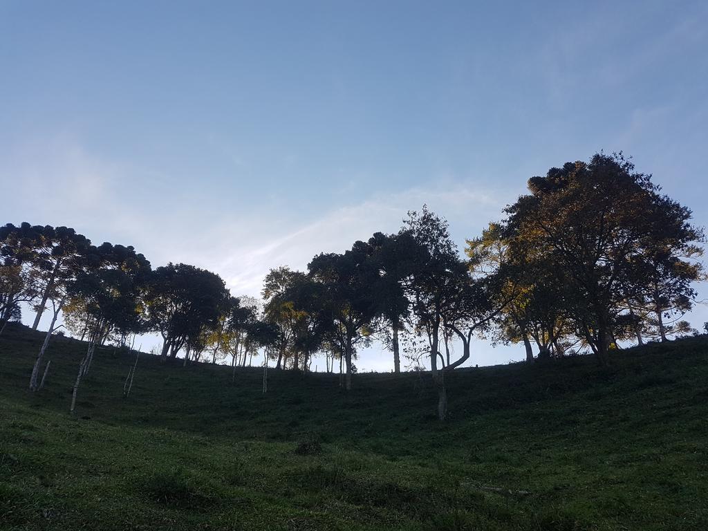 Apartamento Ferias Fazenda Usina 2 Bocaina de Minas Luaran gambar