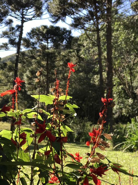 Apartamento Ferias Fazenda Usina 2 Bocaina de Minas Luaran gambar